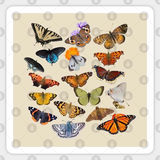 New England Butterflies Sticker by Electric Mermaid